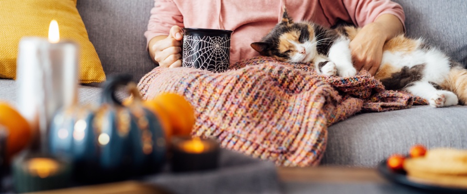 Person relaxing on the couch with a cat under a cozy blanket surrounded by Halloween decor, showing how keeping a calm home can be an important Halloween safety practice for pets.