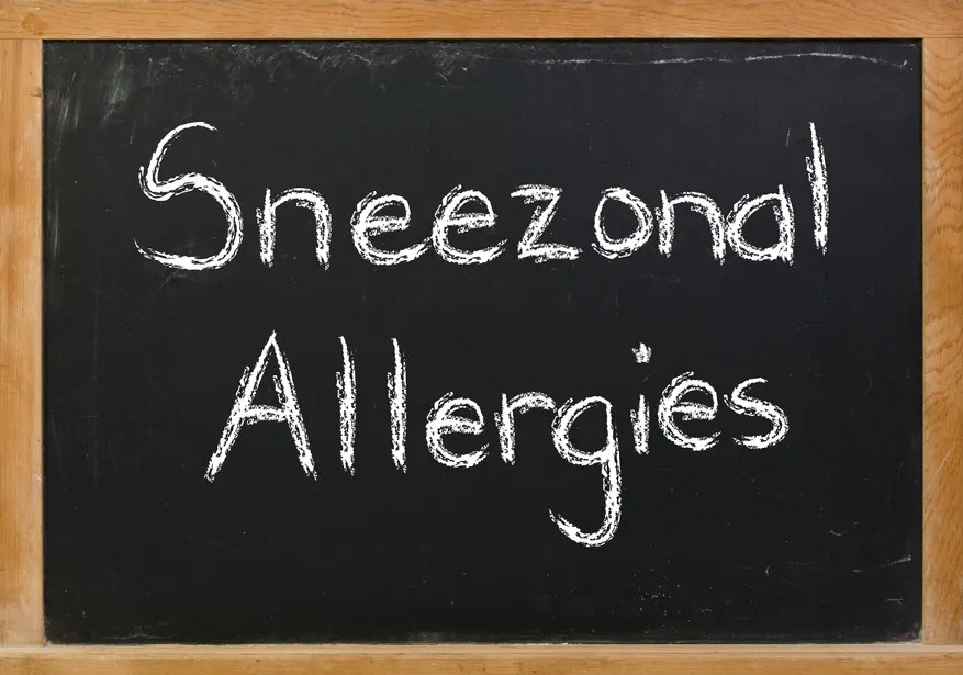Spring allergy remedies
