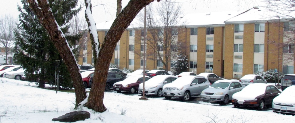 Snow-covered cars and apartment building during a winter storm, showing why residents need to know how to prepare for a winter storm in an apartment.