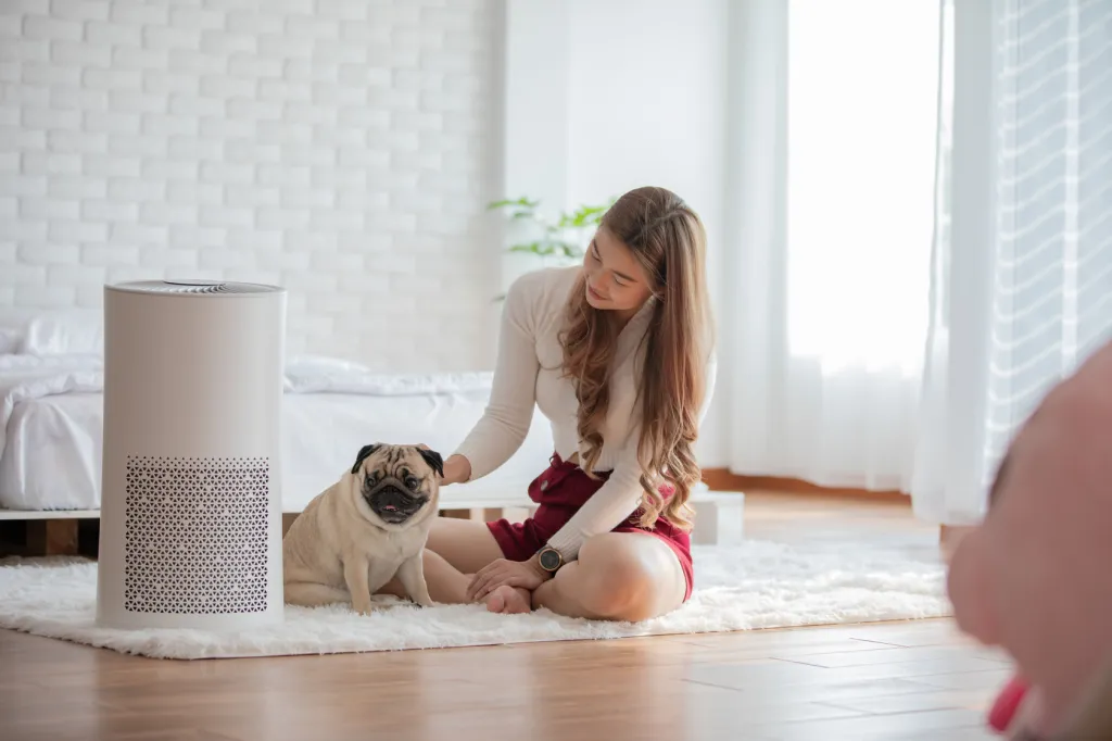 How to Get Clean Air in Your Home