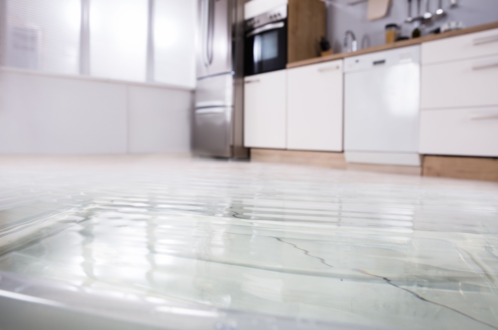 Navigating Water Damage: Does Renters Insurance Cover Flooding?