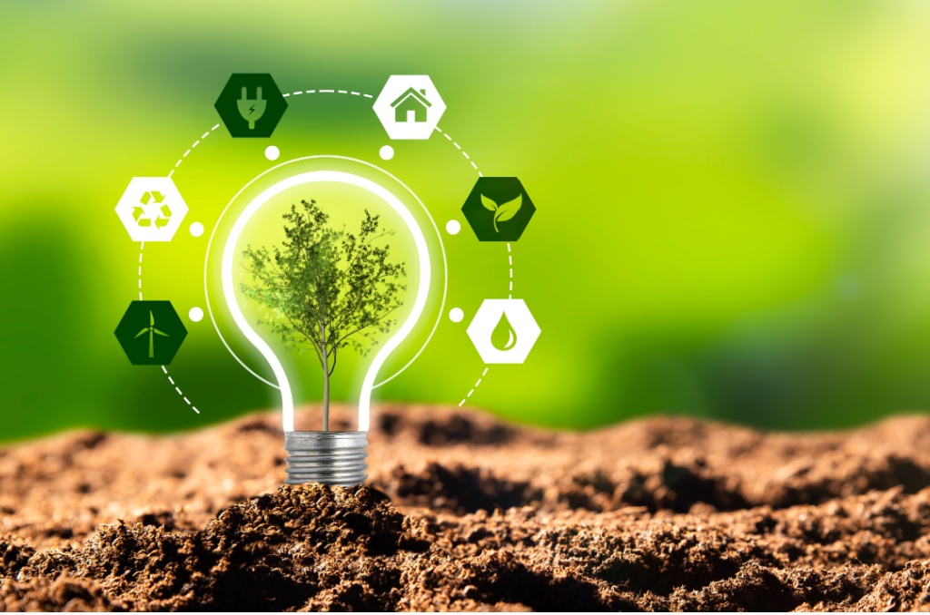 Renewable and Nonrenewable Resources: Understanding the Incentives for Going Green