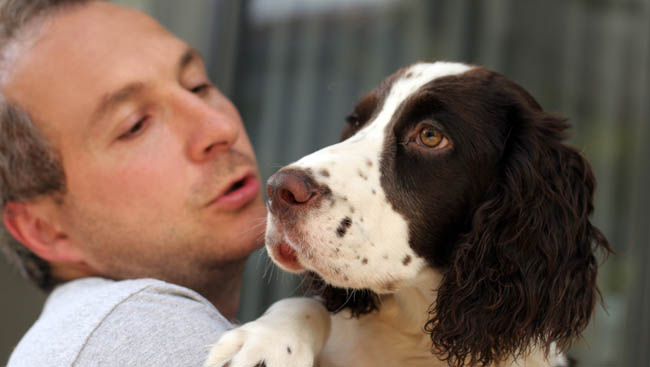 Own a pet? Renters insurance is your true companion