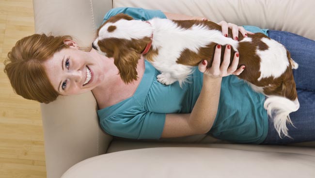 A few pet insurance facts