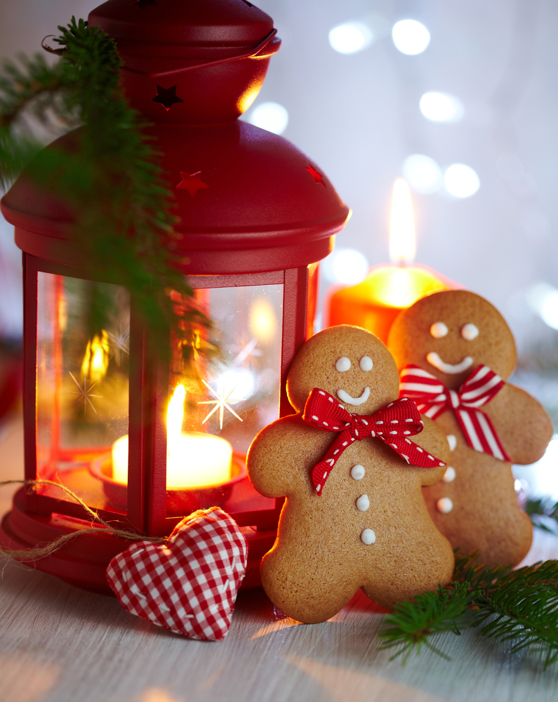 Have a fire-proof holiday!