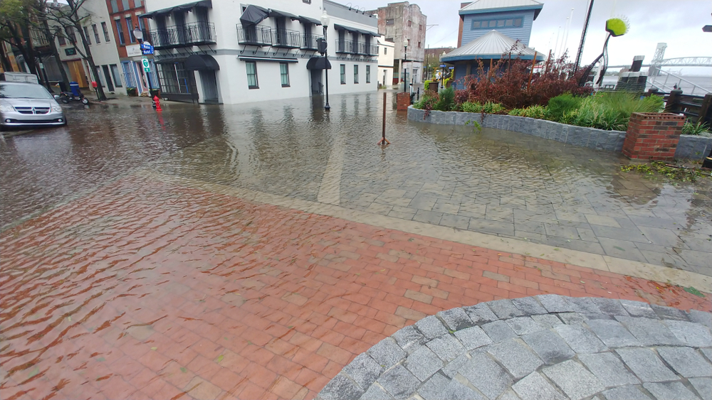 After Hurricane Florence